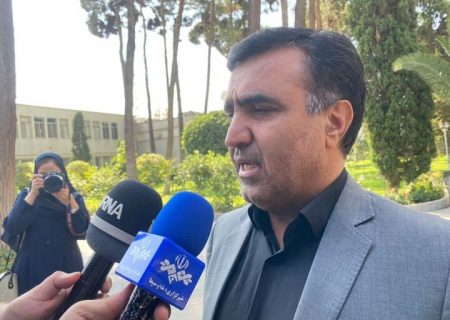 رئیس سازمان حفاظت محیط زیست: چیزی به نام بنزین پتروشیمی وجود ندارد