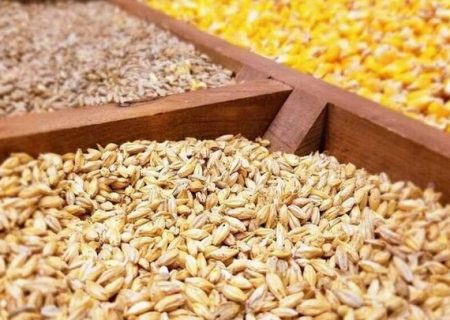 تامین ۲۵۰ میلیون دلار ارز مورد نیاز برای سم /خروج ۱۵ میلیارد دلار ارز از کشور برای واردات چند قلم کالای اساسی کشاورزی