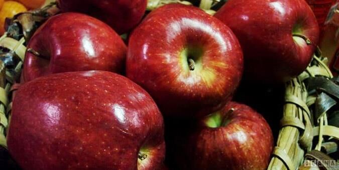بخشی از سیب صادراتی برای تنظیم بازار عید نوروز مورد استفاده قرار گرفت