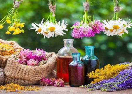 صادرات ۵۵۰ میلیون دلاری گیاهان دارویی در سال گذشته