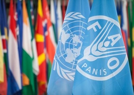 افزایش قیمت جهانی مواد غذایی برای سومین ماه متوالی| افزایش قیمت غلات رکورد شکست!