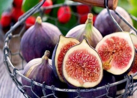 صادرات ۲۲هزار تن  انجیر در سال/ ترکیه؛ در صدر صادرات انجیر در سال ۲۰۲۳