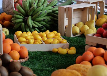 تأمین میوه شب عید و خرما با نظارت تعاون روستایی