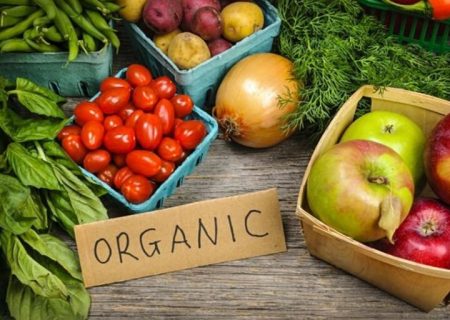 ایران جزء ۱۵ کشور نخست تولید ارگانیک در دنیا می‌شود