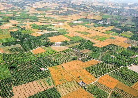 در راستای تثبیت مالکیت:  بیش از ۱۳ میلیون هکتار از اراضی کشاورزی در کشور رفع تداخل شد