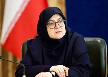 مهاجرانی:اگر مجبور شویم اینترنت ملی می‌شود