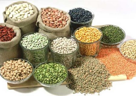 ١٠ هزار تن حبوبات خریداری و وارد کشور شده است