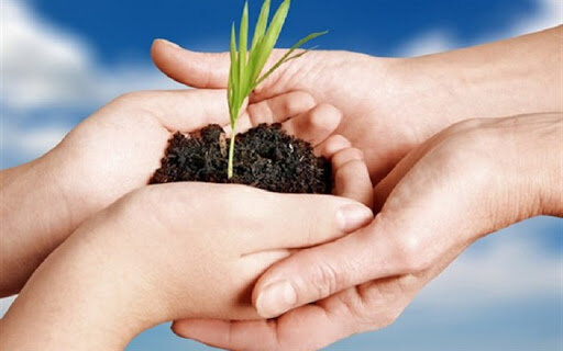 فعالیت۱۷۲ صندوق توسعه کشاورزی در کشور