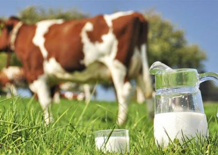 کمبود و نوسان قیمت نهاده‌های دامی نسبت به سال قبل