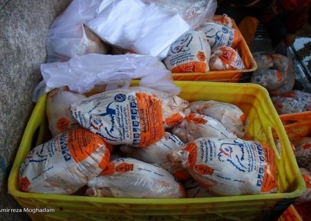 روزانه ۷ هزارتن مرغ در کشور توزیع می شود