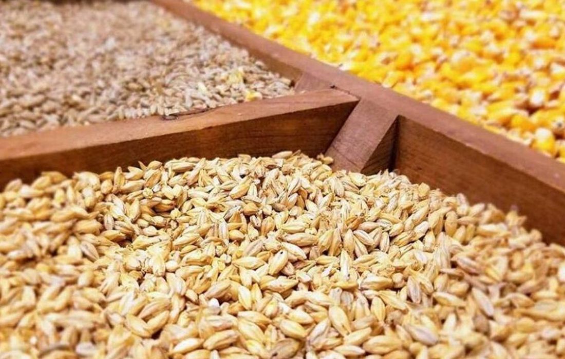 طی روز‌های آتی نهاده مورد نیاز تولیدکنندگان تامین می‌شود