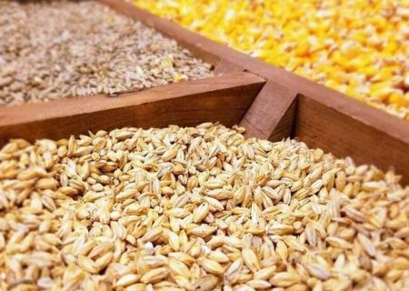 طی روز‌های آتی نهاده مورد نیاز تولیدکنندگان تامین می‌شود