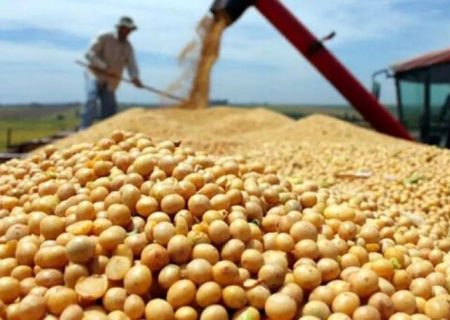 معاون وزیرجهاد کشاورزی: نهاده‌های دامی باید در بازارگاه با نرخ مصوب عرضه شوند