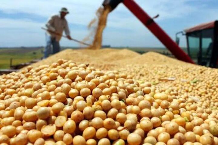 معاون وزیرجهاد کشاورزی: نهاده‌های دامی باید در بازارگاه با نرخ مصوب عرضه شوند