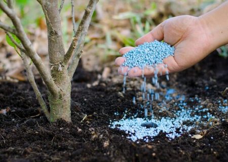 همایش آموزشی معرفی کودهای کشاورزی در قم برگزار شد